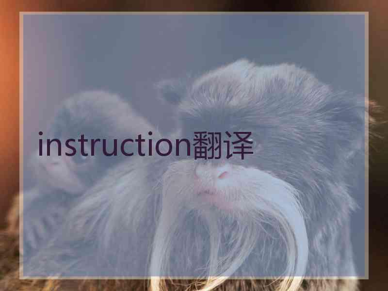 instruction翻译