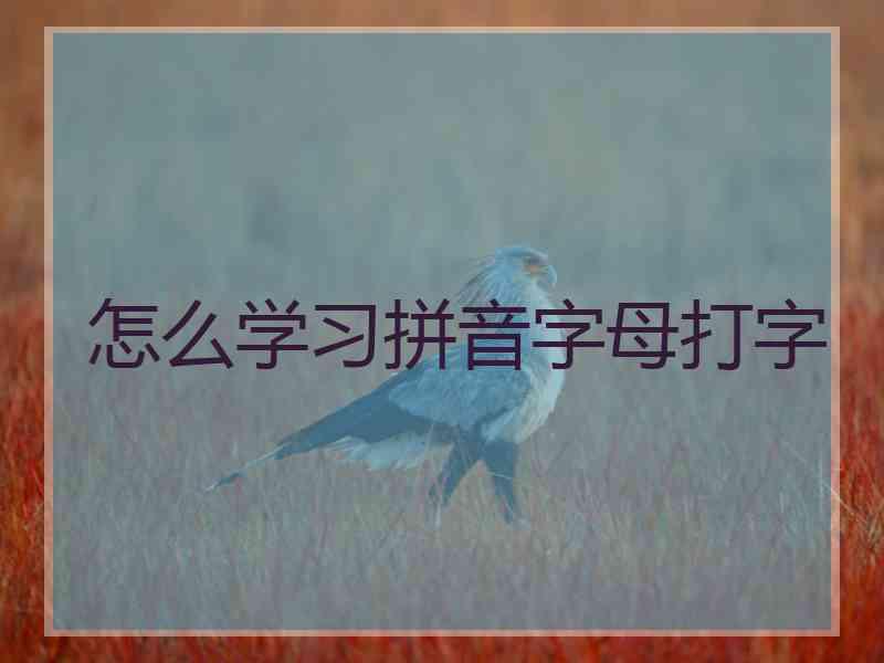 怎么学习拼音字母打字