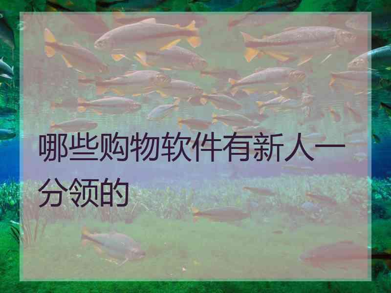 哪些购物软件有新人一分领的