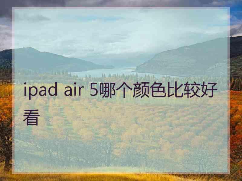 ipad air 5哪个颜色比较好看