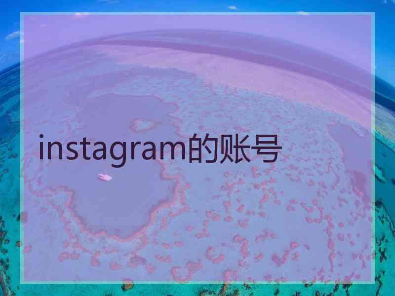 instagram的账号