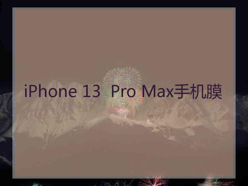 iPhone 13  Pro Max手机膜