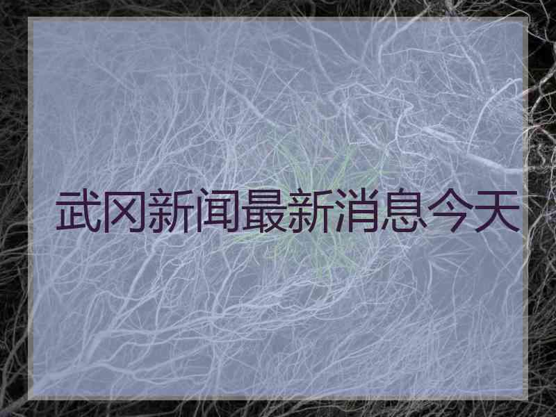 武冈新闻最新消息今天