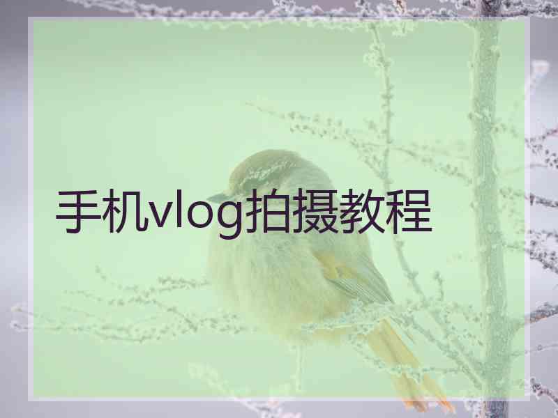 手机vlog拍摄教程