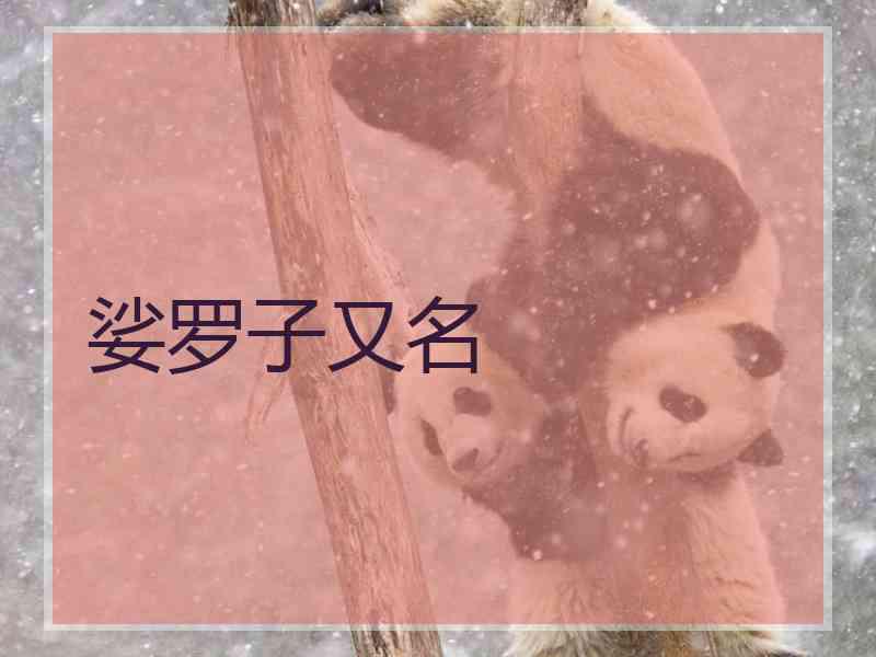 娑罗子又名