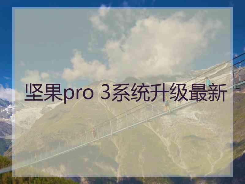 坚果pro 3系统升级最新