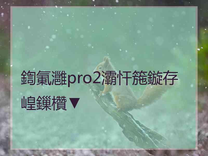 鍧氭灉pro2灞忓箷鏇存崲鏁欑▼