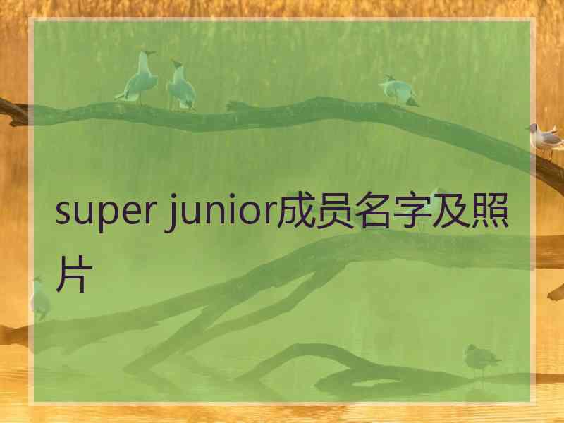 super junior成员名字及照片