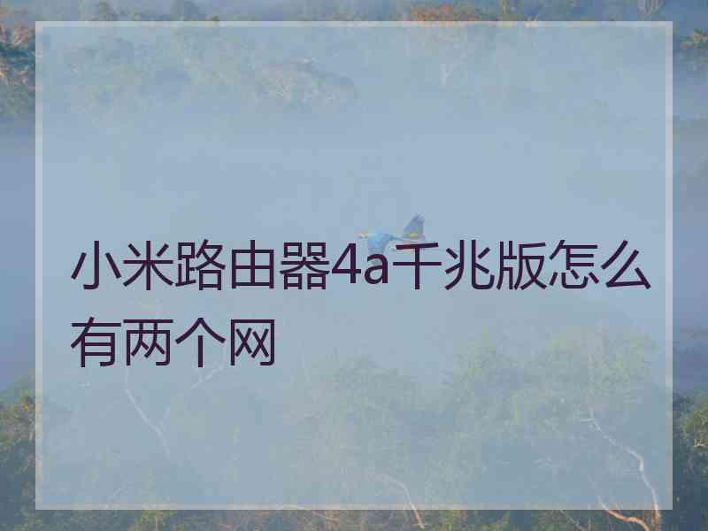 小米路由器4a千兆版怎么有两个网