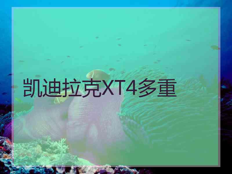 凯迪拉克XT4多重