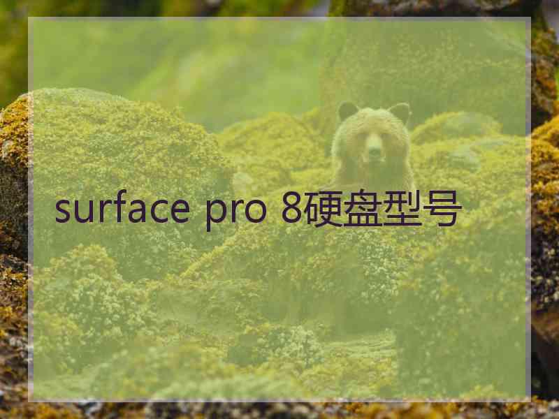 surface pro 8硬盘型号