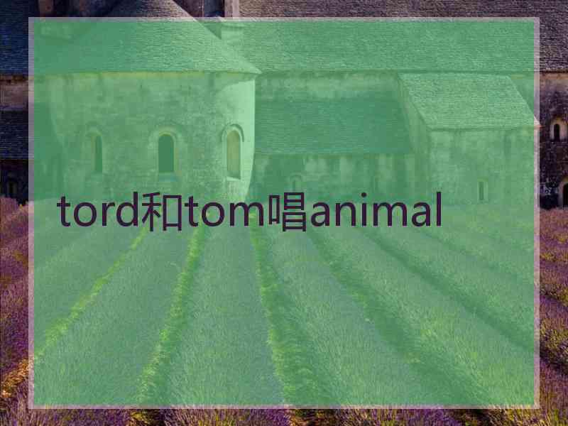 tord和tom唱animal