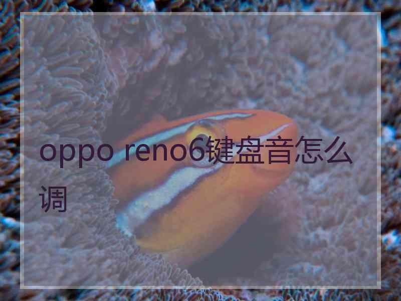 oppo reno6键盘音怎么调