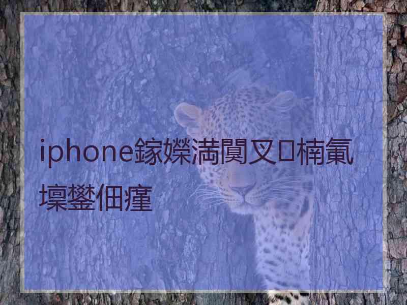 iphone鎵嬫満闃叉楠氭壈鐢佃瘽