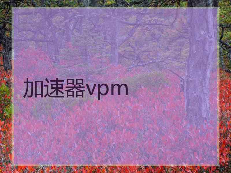 加速器vpm