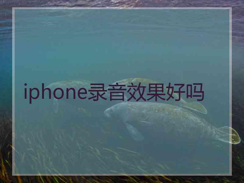 iphone录音效果好吗