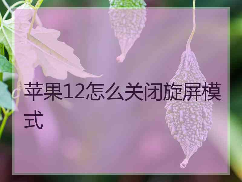 苹果12怎么关闭旋屏模式