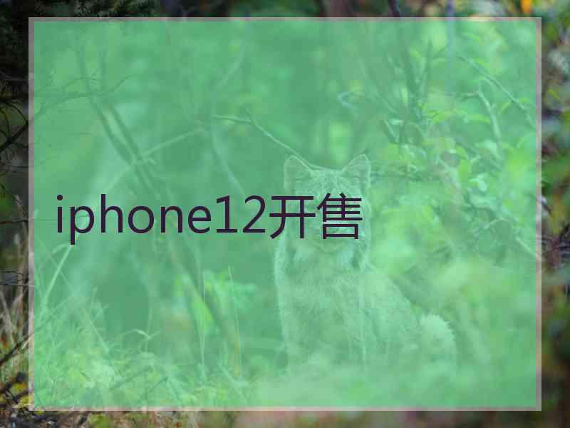 iphone12开售