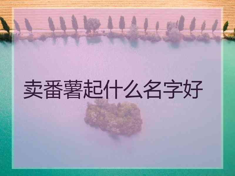 卖番薯起什么名字好