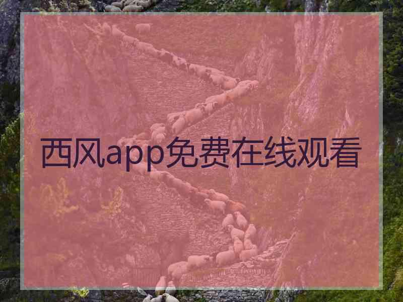 西风app免费在线观看