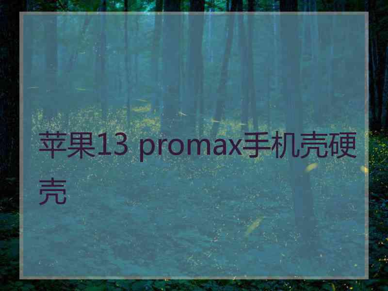 苹果13 promax手机壳硬壳