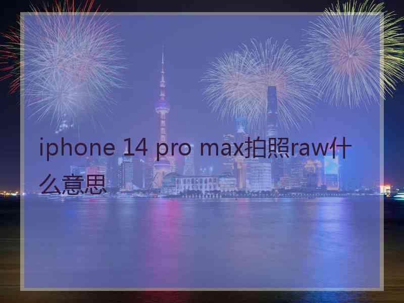 iphone 14 pro max拍照raw什么意思