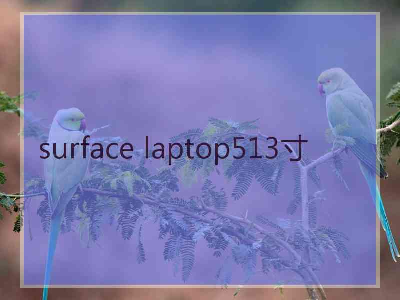 surface laptop513寸