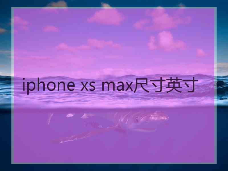 iphone xs max尺寸英寸