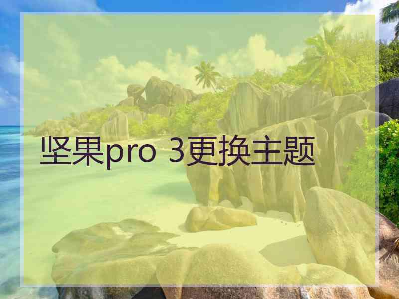 坚果pro 3更换主题