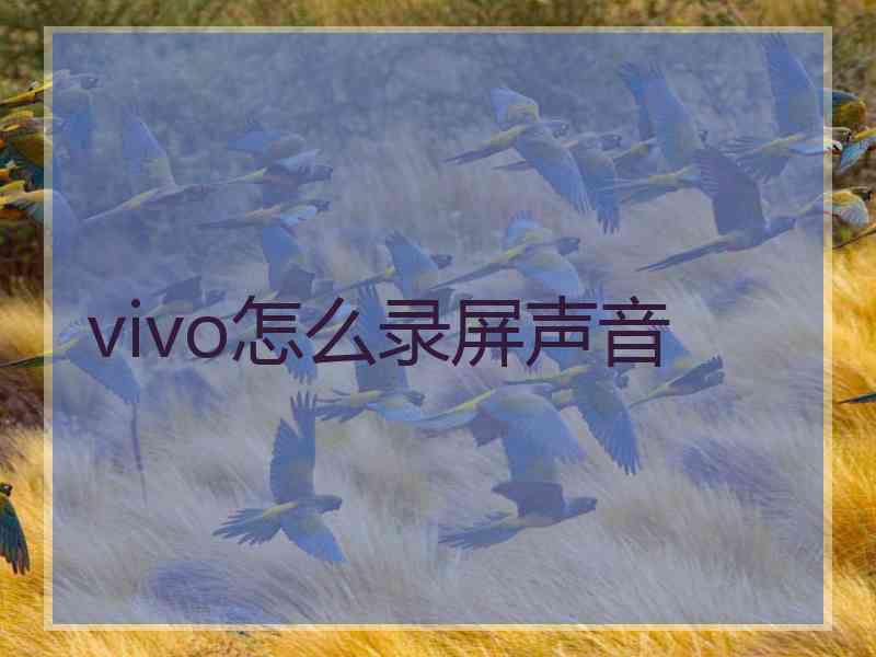 vivo怎么录屏声音