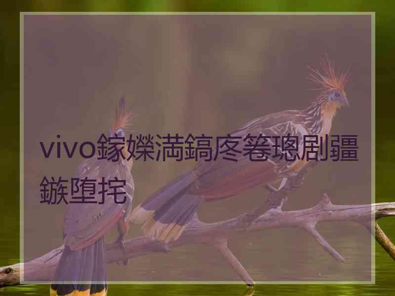 vivo鎵嬫満鎬庝箞璁剧疆鏃堕挓