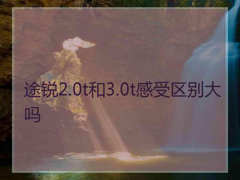 途锐2.0t和3.0t感受区别大吗