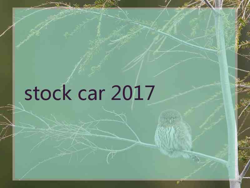 stock car 2017