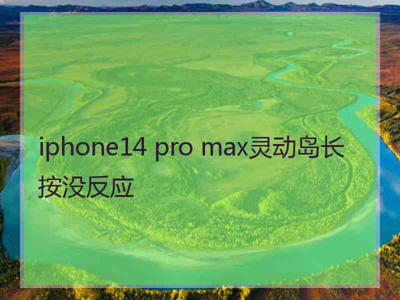 iphone14 pro max灵动岛长按没反应