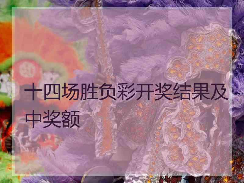 十四场胜负彩开奖结果及中奖额