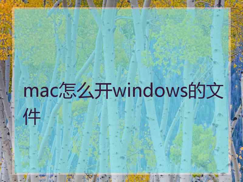 mac怎么开windows的文件