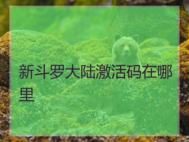 新斗罗大陆激活码在哪里