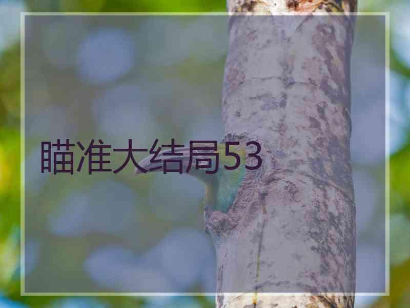 瞄准大结局53