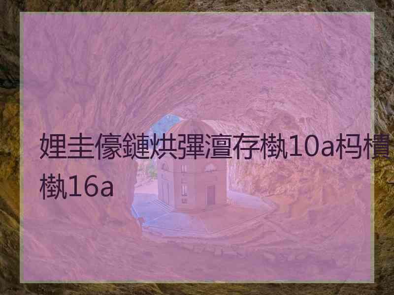 娌圭儫鏈烘彃澶存槸10a杩樻槸16a