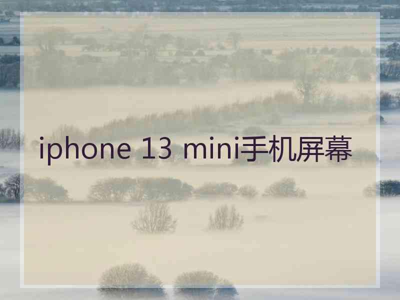 iphone 13 mini手机屏幕