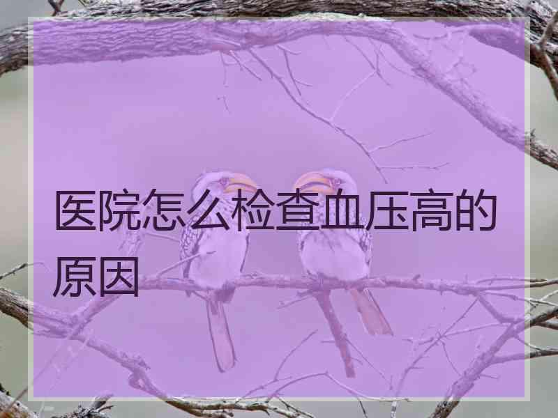 医院怎么检查血压高的原因