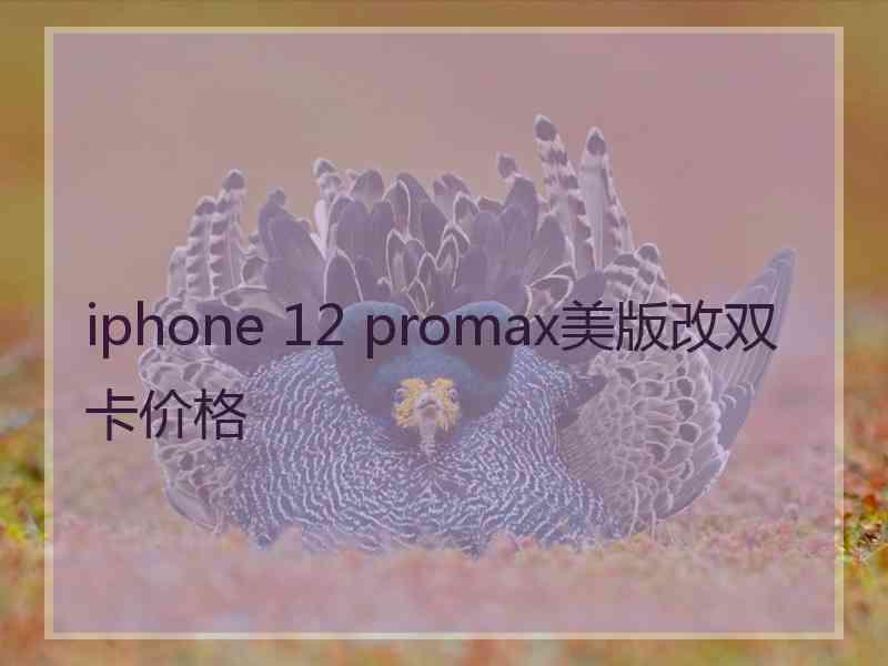 iphone 12 promax美版改双卡价格