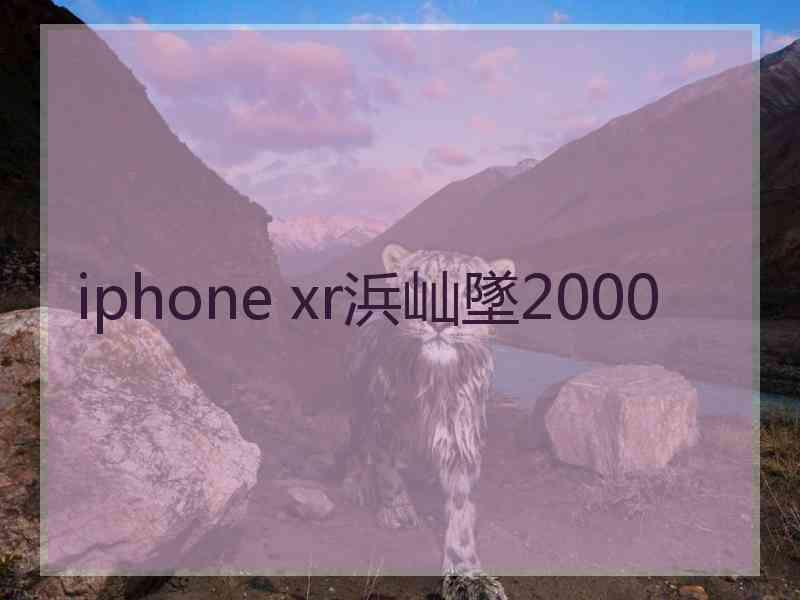 iphone xr浜屾墜2000