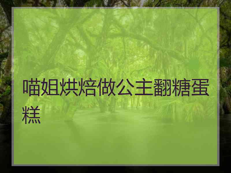 喵姐烘焙做公主翻糖蛋糕