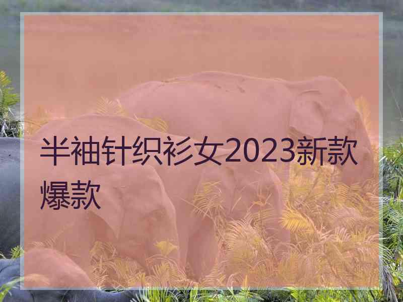 半袖针织衫女2023新款爆款