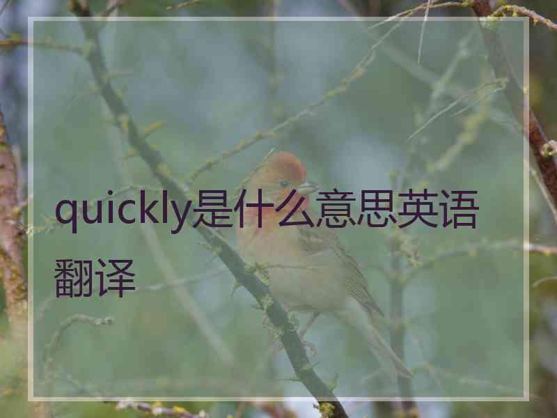 quickly是什么意思英语翻译