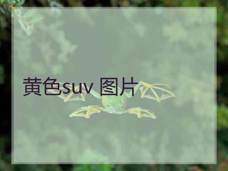 黄色suv 图片