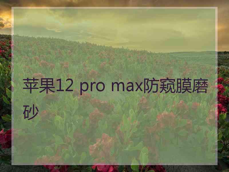 苹果12 pro max防窥膜磨砂