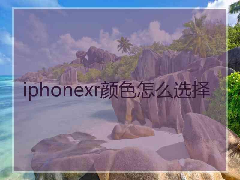 iphonexr颜色怎么选择