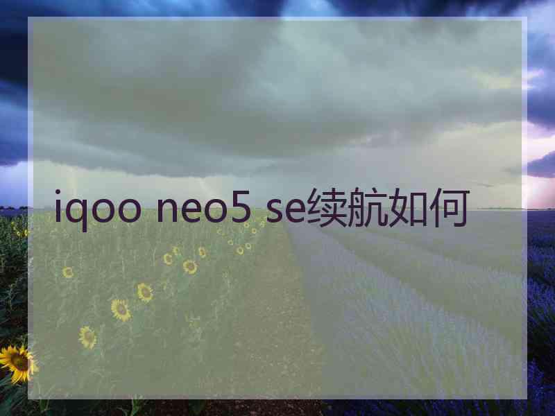 iqoo neo5 se续航如何